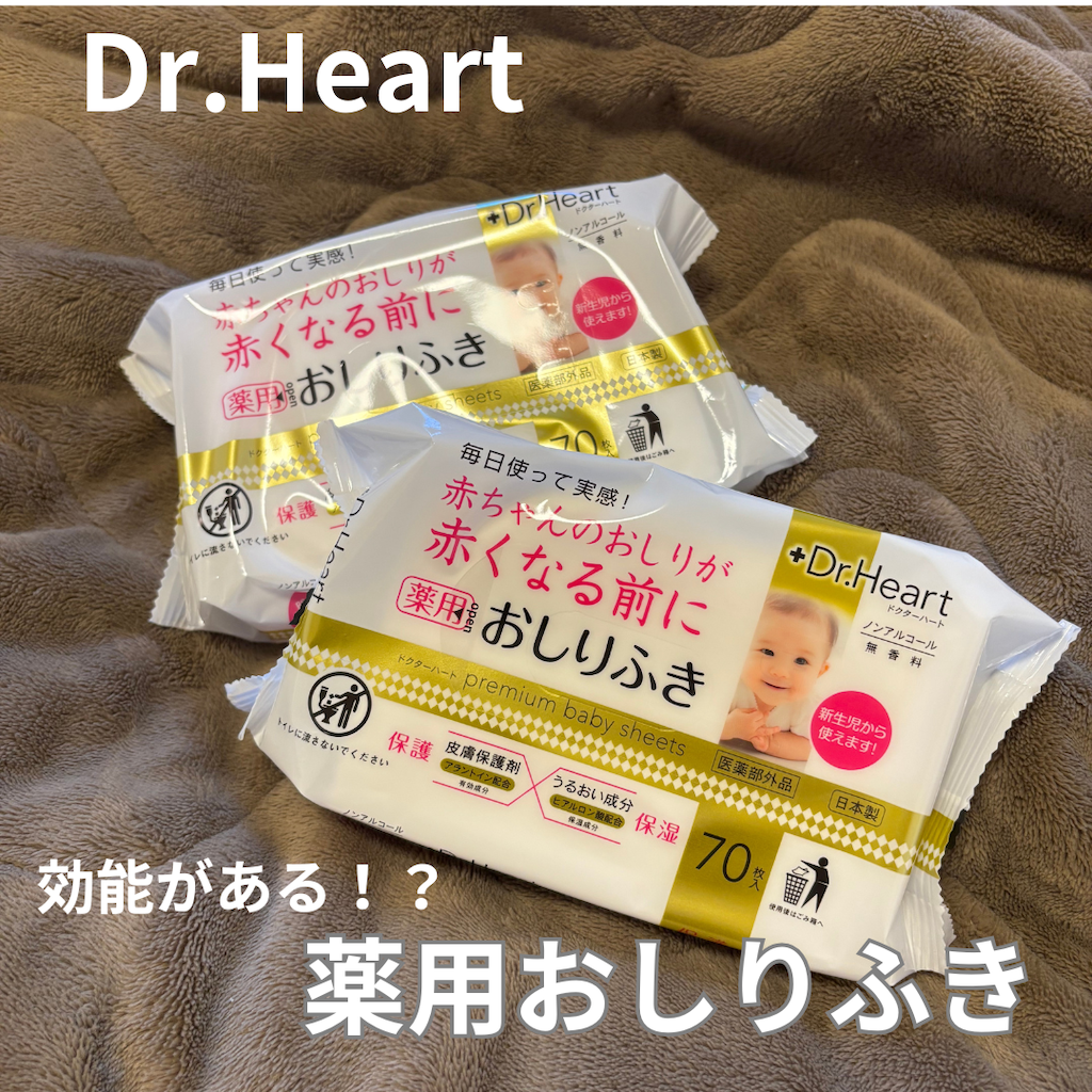 f:id:uuuy:20250116152206p:image