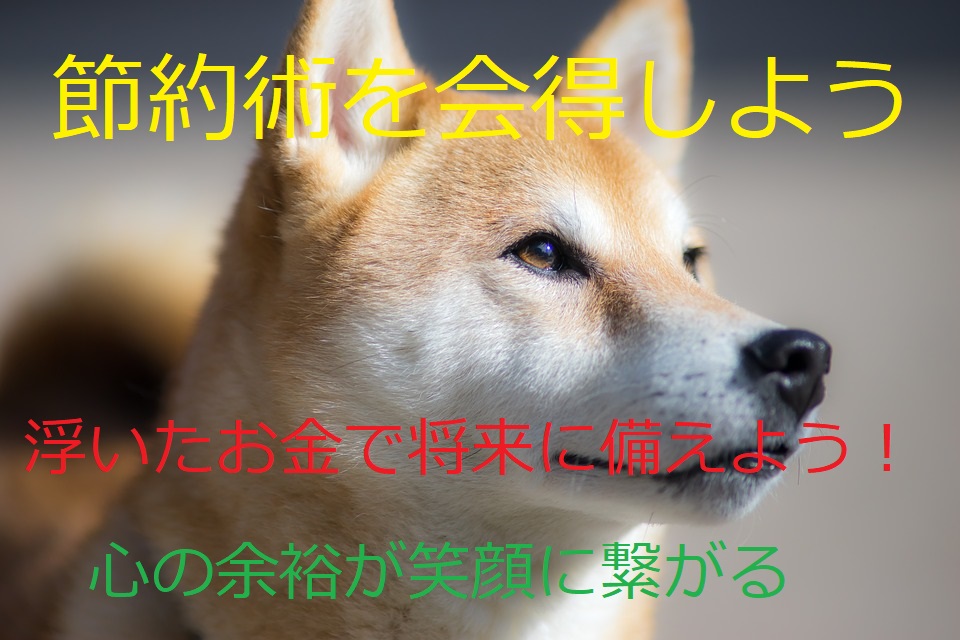 f:id:uvoauvoa:20201011200647j:plain f:id:uvoauvoa:20201011200647j:plain