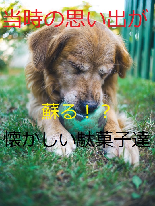 f:id:uvoauvoa:20201014210311j:plain