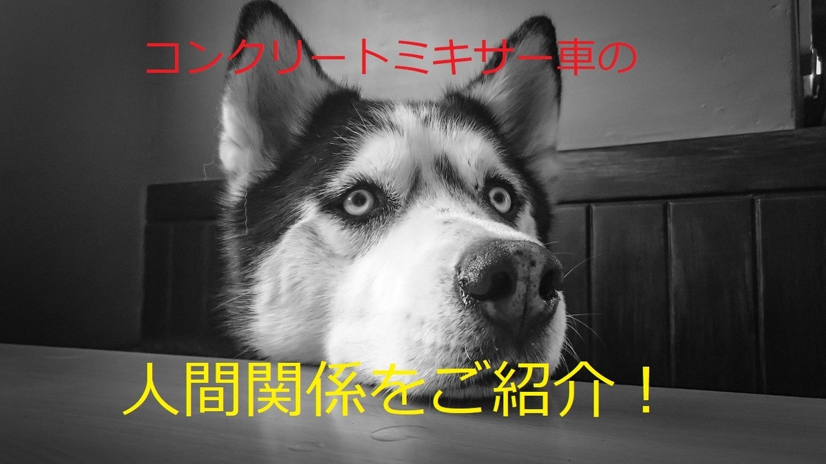 f:id:uvoauvoa:20201214202632j:plain
