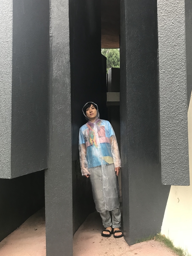 f:id:uwabami_jp:20181025220408j:plain