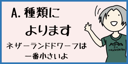f:id:uwagakisan:20190613193523j:plain f:id:uwagakisan:20190613193523j:plain