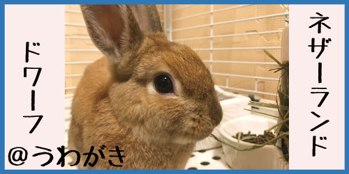 f:id:uwagakisan:20190613194939j:plain f:id:uwagakisan:20190613194939j:plain