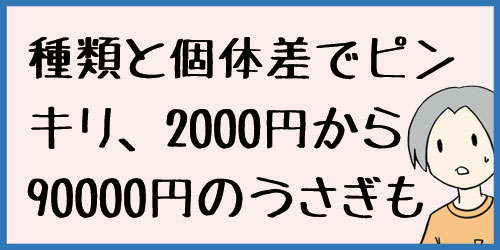 f:id:uwagakisan:20190625222110j:plain f:id:uwagakisan:20190625222110j:plain
