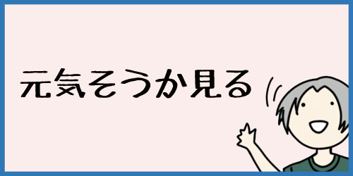 f:id:uwagakisan:20190628204247j:plain f:id:uwagakisan:20190628204247j:plain