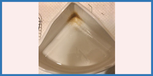 f:id:uwagakisan:20190702203845j:plain f:id:uwagakisan:20190702203845j:plain