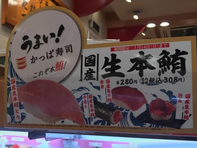 国産生本鮪キャンペーン