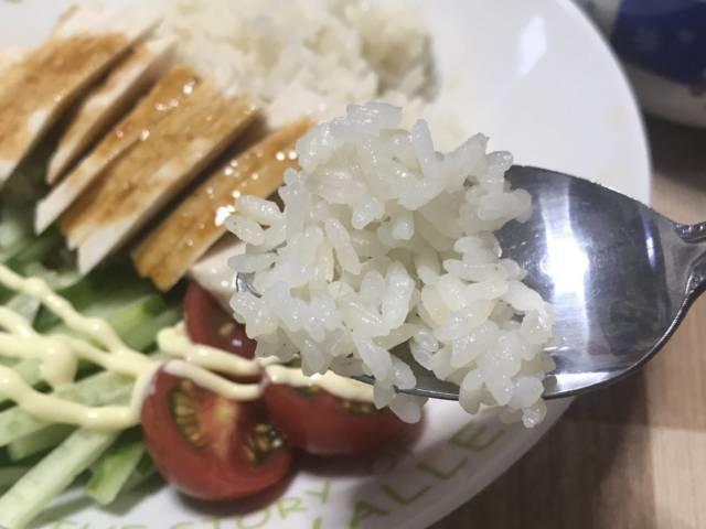 鶏飯