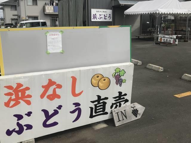 渡辺さんの直売場