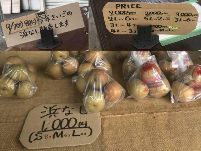 渡辺さんの浜なし