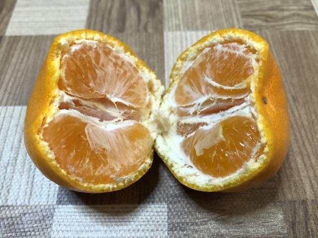 薄皮がホロホロ