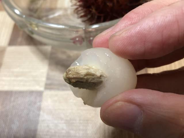 ランブータンをひとくち