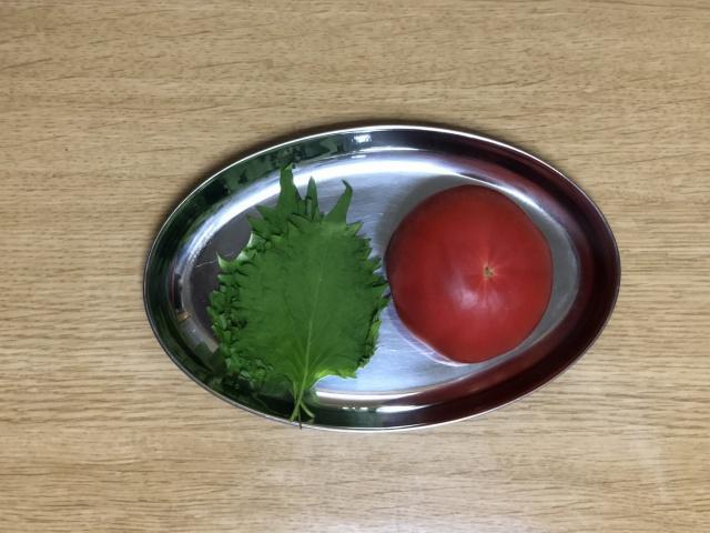 写真:冷やし中華の具材2