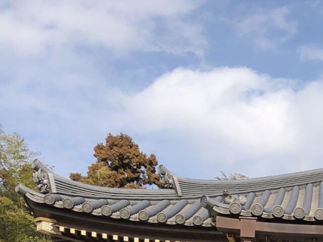 写真:成田山醫王殿の空