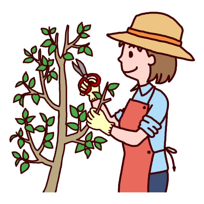 f:id:uwisizen:20201212053003p:plain