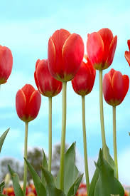 f:id:uwisizen:20210317055054j:plain