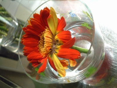 f:id:uxoru:20070206003215j:image:w250