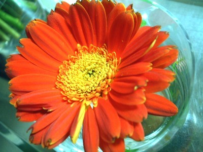 f:id:uxoru:20070207004604j:image:w250