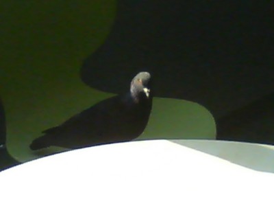 f:id:uxoru:20070504235014j:image:w200