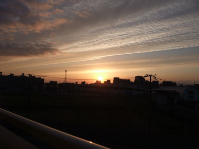 f:id:uxoru:20080511183534j:image:w300