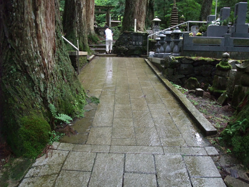 f:id:uxoru:20090707150609j:image:w150