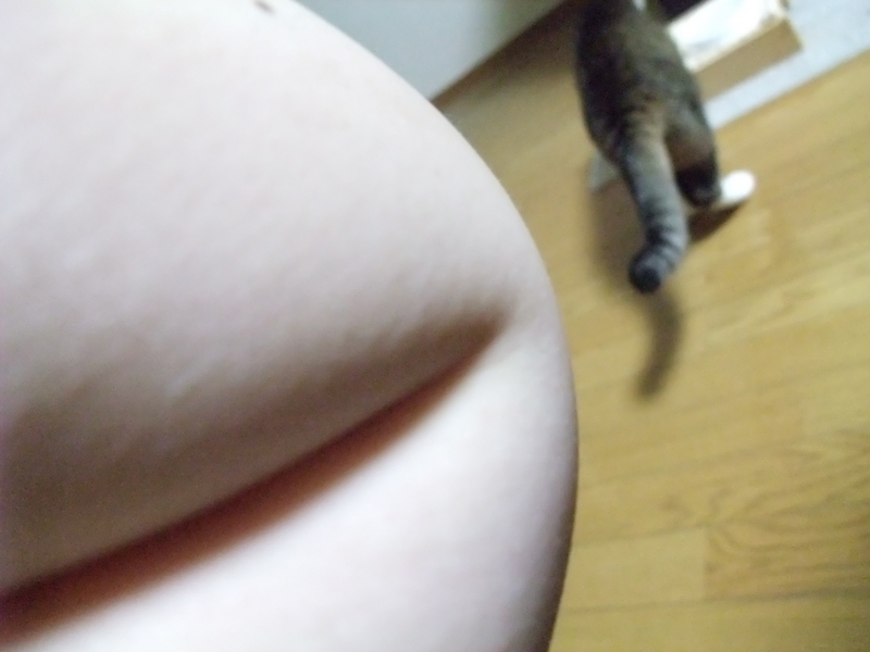 f:id:uxoru:20090818214539j:image:w350