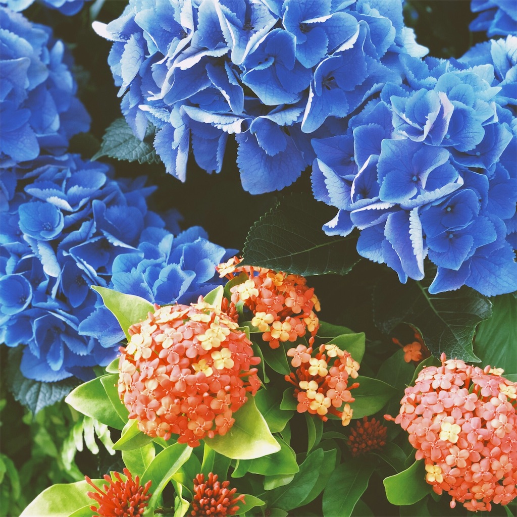 f:id:uxul:20180613213518j:image