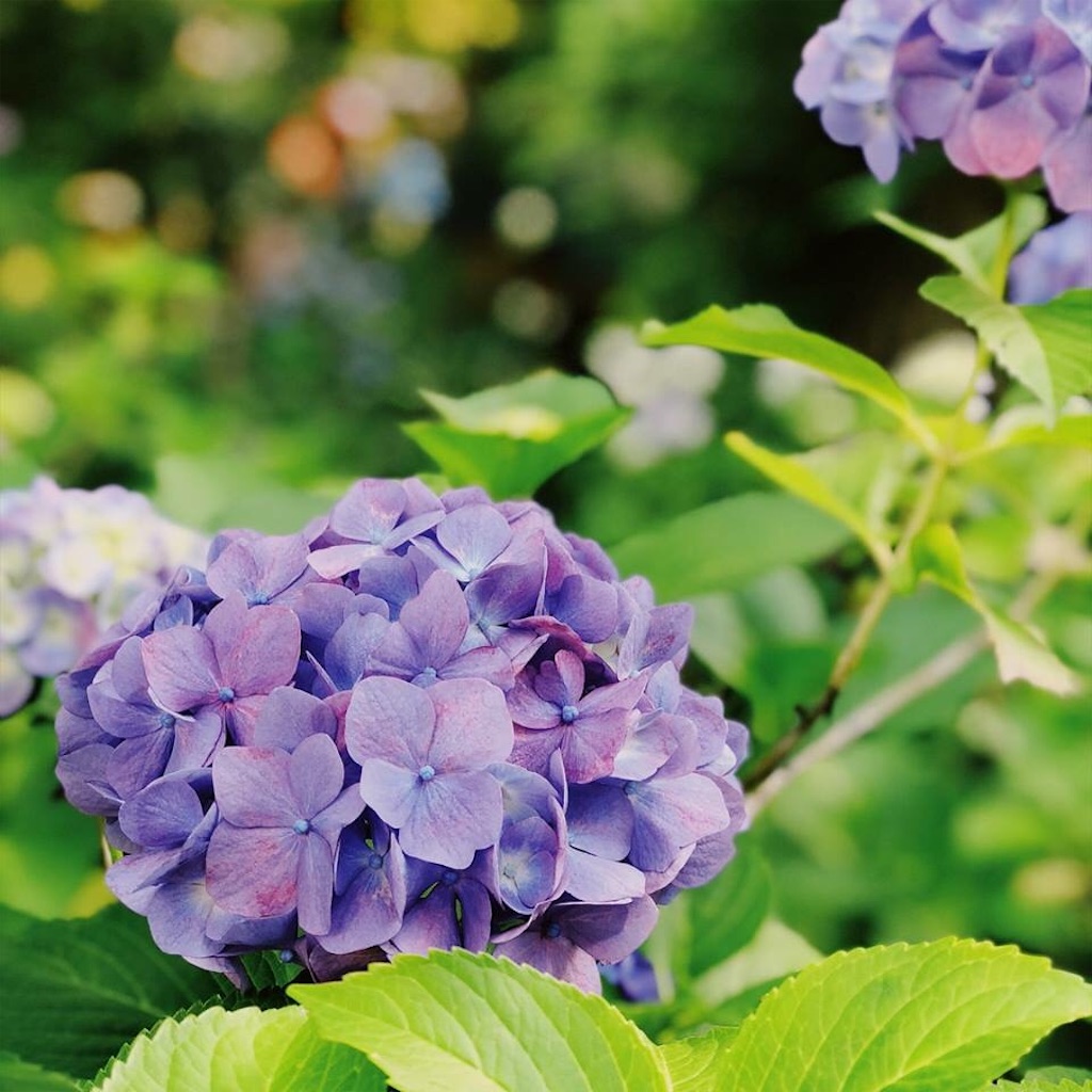 f:id:uxul:20180613213524j:image