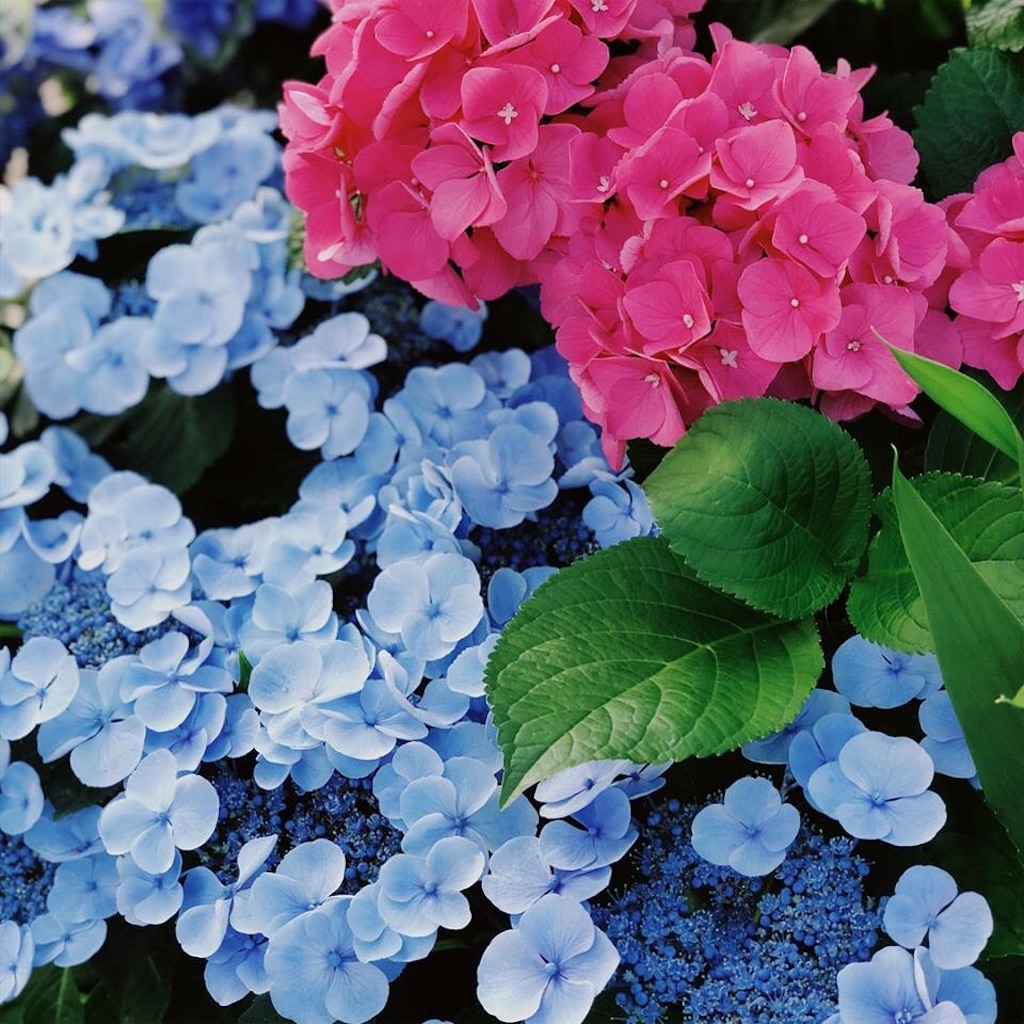 f:id:uxul:20180613213529j:image