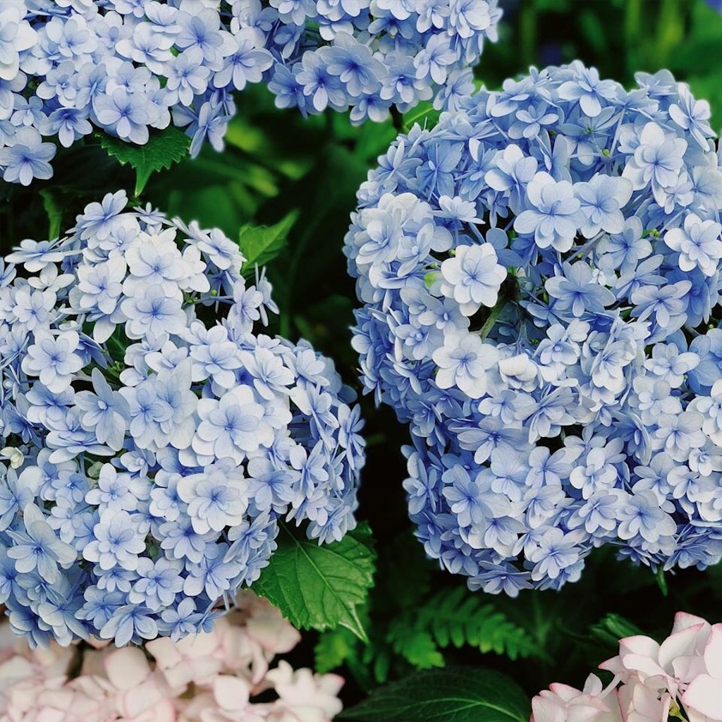 f:id:uxul:20180613213534j:image