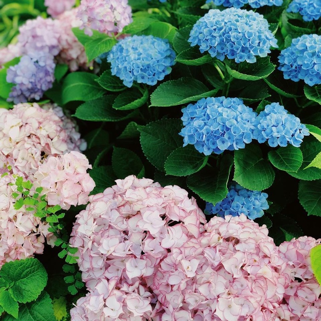 f:id:uxul:20180613213614j:plain