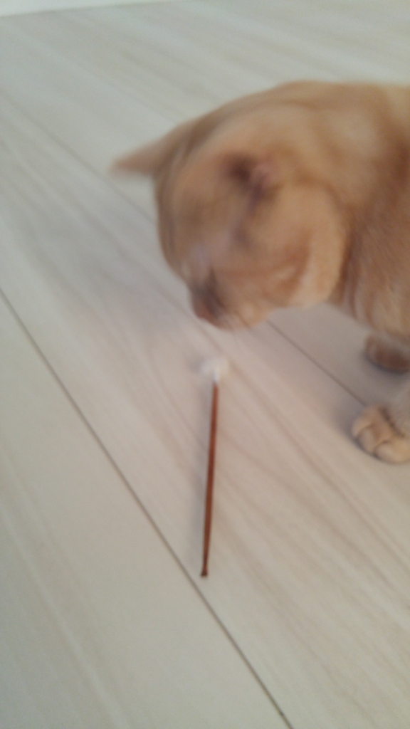 f:id:uxus:20161109072448j:plain