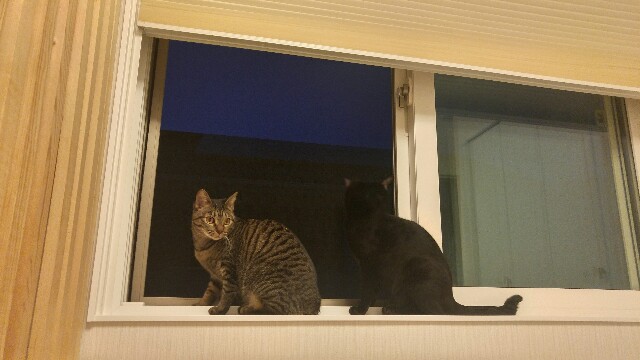 f:id:uxus:20170331070519j:image