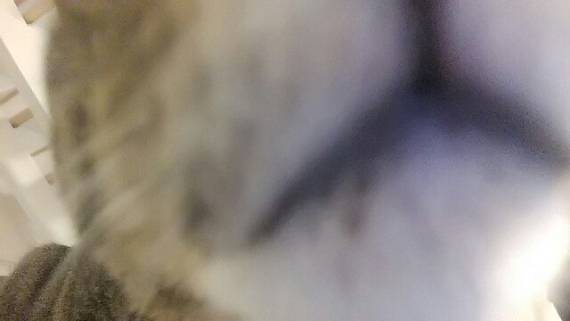 f:id:uxus:20170521193627j:image