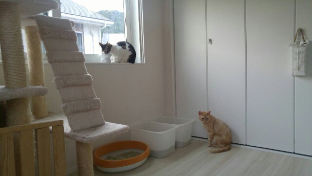 f:id:uxus:20170618181108j:image