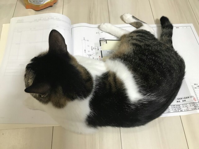 f:id:uxus:20180620103542j:image