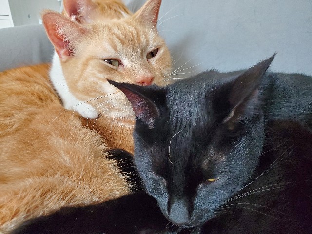 f:id:uxus:20200130114705j:image