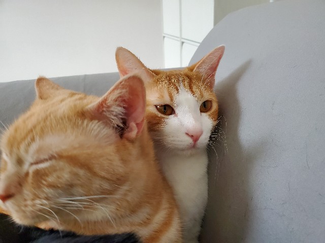 f:id:uxus:20200130115236j:image