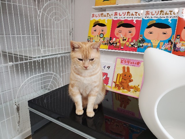 f:id:uxus:20200405194543j:image