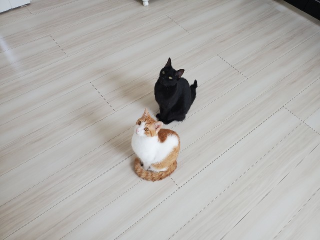 f:id:uxus:20200410130554j:image