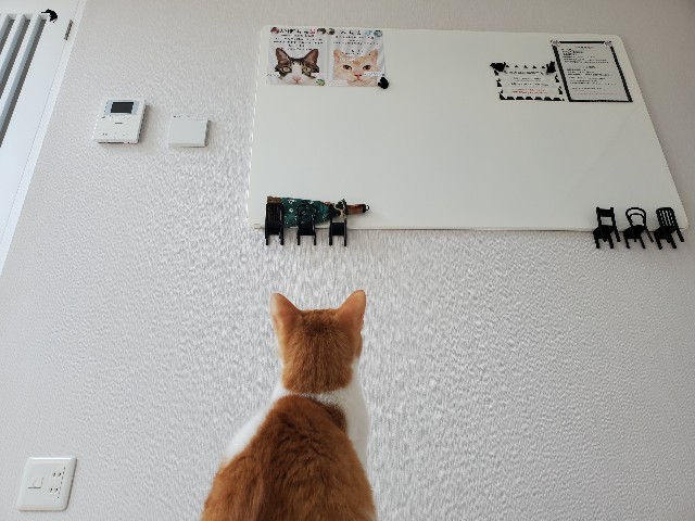 f:id:uxus:20200410130624j:image