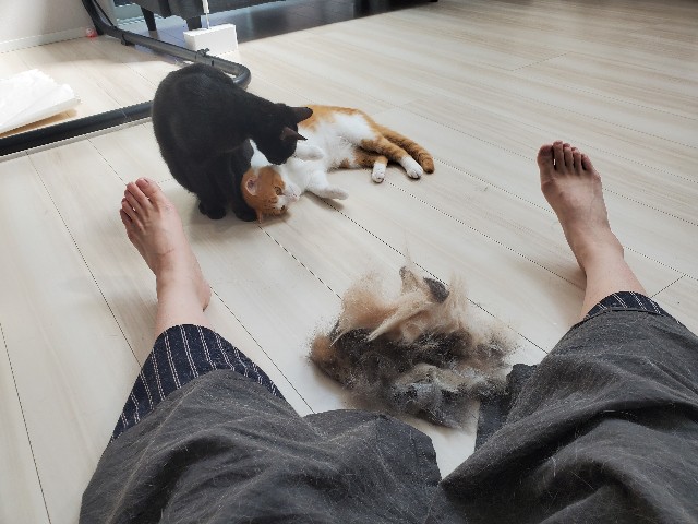 f:id:uxus:20200604152944j:image