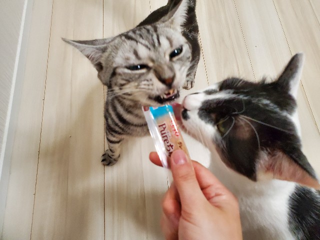 f:id:uxus:20200611073031j:image