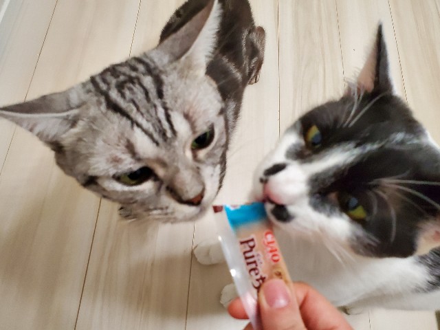 f:id:uxus:20200611073204j:image