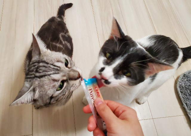 f:id:uxus:20200611073332j:image