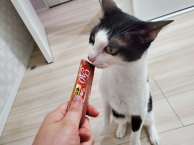 f:id:uxus:20200611073409j:image