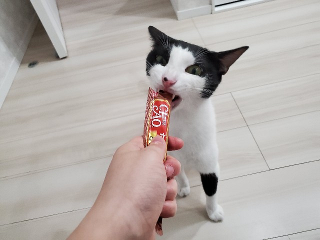 f:id:uxus:20200611073431j:image