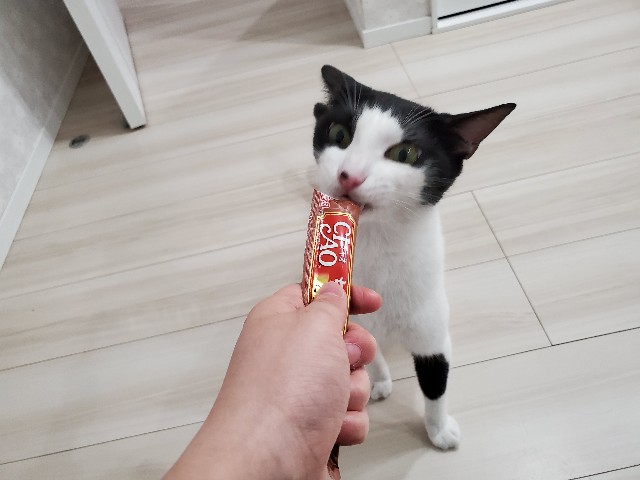 f:id:uxus:20200611073437j:image