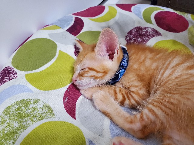 f:id:uxus:20200611073813j:image