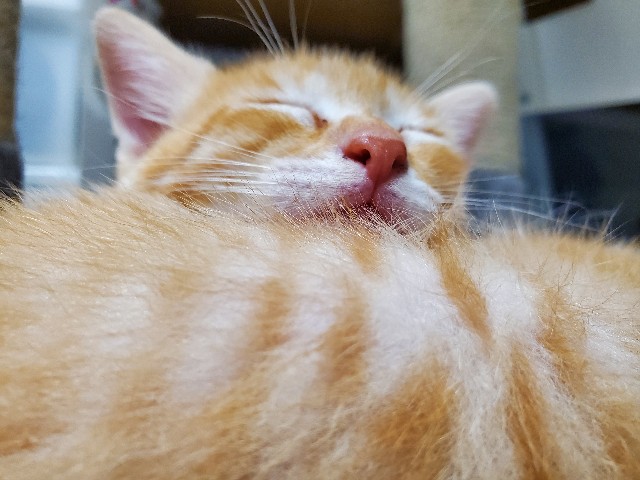 f:id:uxus:20200611080726j:image